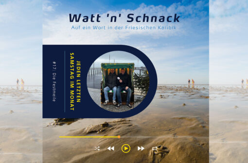 Watt ’n’ Schnack #17
