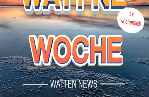 Watt `ne Woche #2