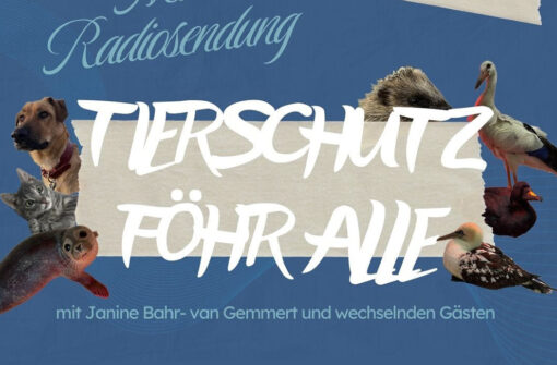 Tierschutz Föhr – Alle #1