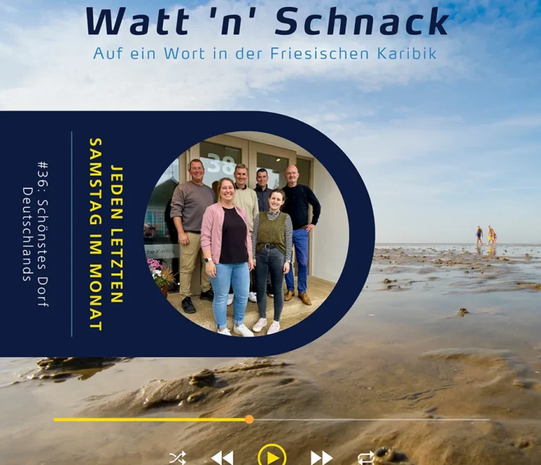 Watt ’n’ Schnack #36